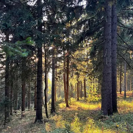 Apartament Krkonose - S Vyhledem *