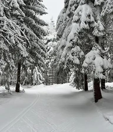 Krkonose - S Vyhledem Apartament Benecko