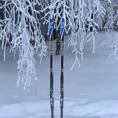 Krkonose - S Vyhledem *