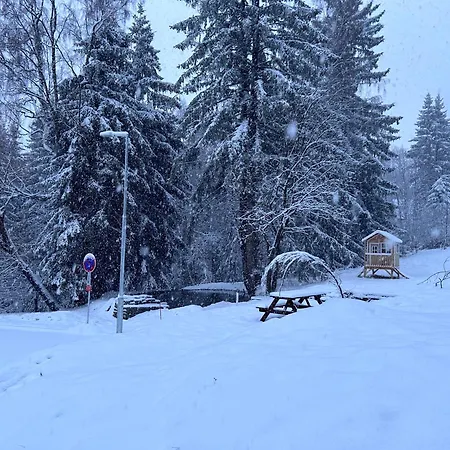 Krkonose - S Vyhledem *
