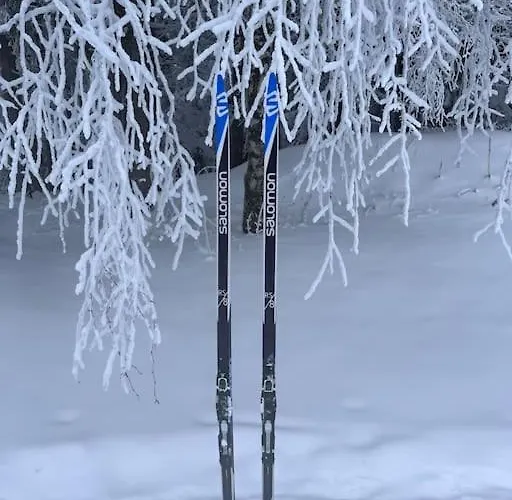 Krkonose - S Vyhledem *