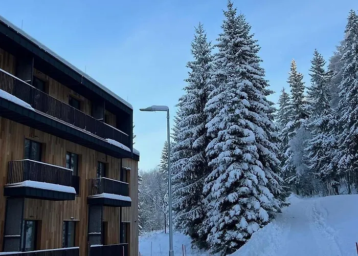 Krkonose - S Vyhledem Apartment