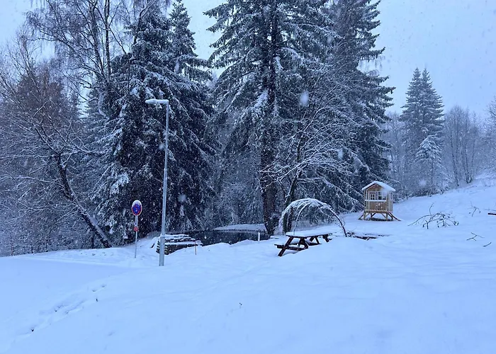 Krkonose - S Vyhledem *